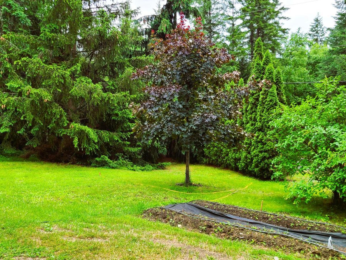 Woodcrest Bed And Breakfast Клиъруотър Екстериор снимка