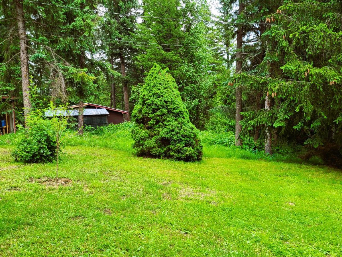 Woodcrest Bed And Breakfast Клиъруотър Екстериор снимка